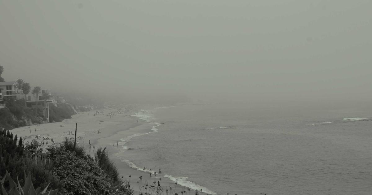 5 Curious Animal Behaviors That Science Still Can’t Fully Explain (Ranked by Mystery Level)