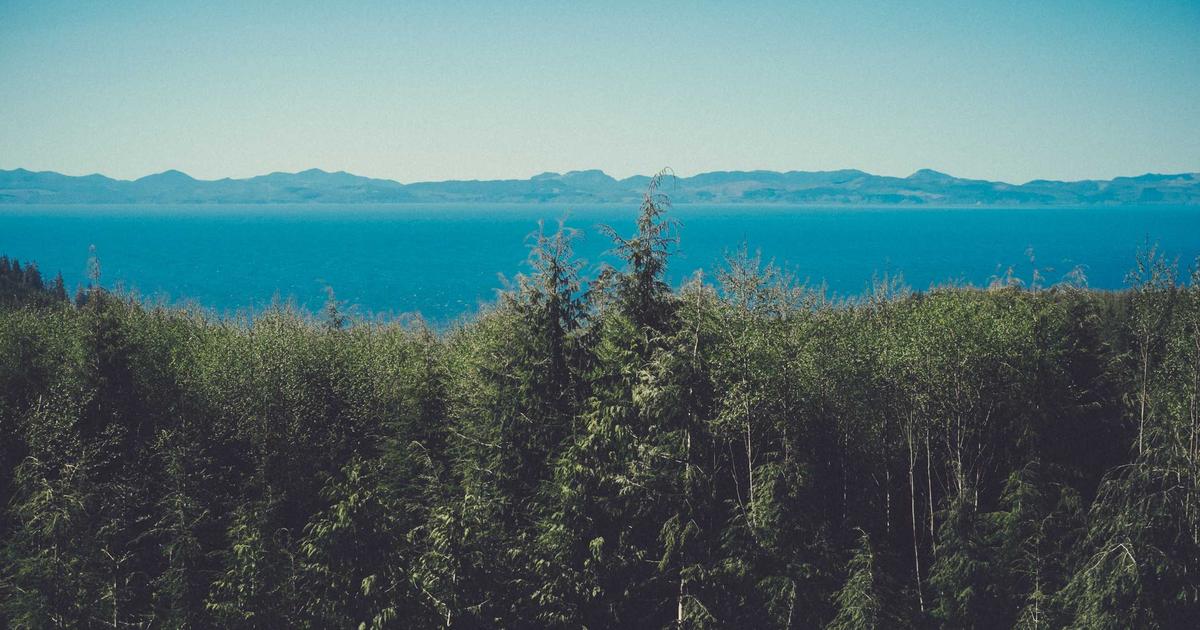 The 5 Most Overrated Smart Home Devices (And What to Buy Instead for Real Convenience)