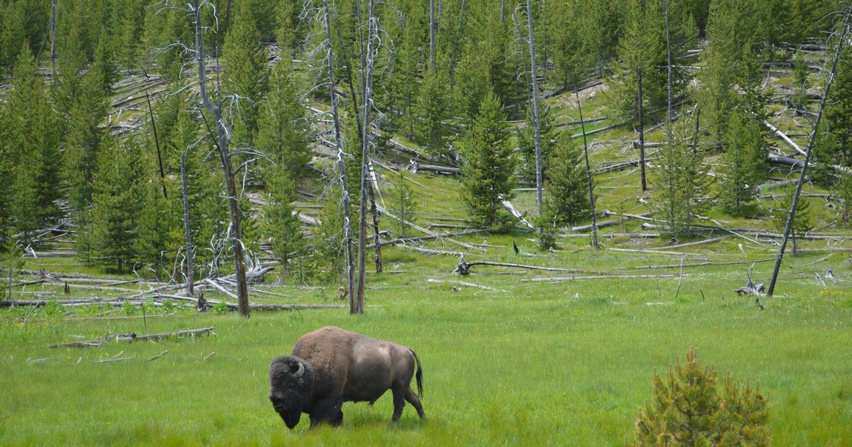 The 5 Most Underrated National Parks in the U.S. (Ranked by Scenery and Crowd Avoidance)