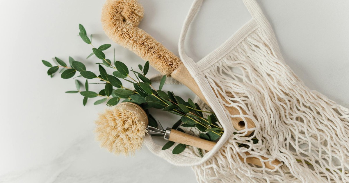 6 Sustainable Lifestyle Swaps That Actually Make a Difference (Ranked by Environmental Impact)